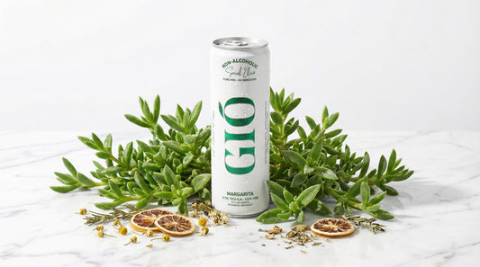 Drink Gio Margarita with kanna botanical